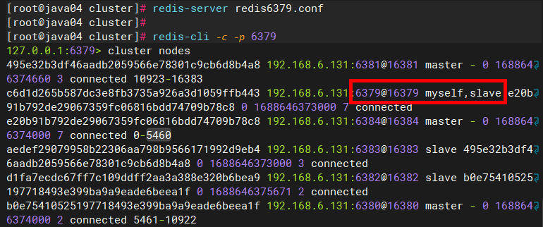 image-20230706202640635